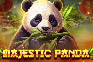 Esports - hoiy kyin